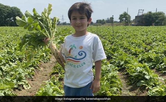 Guess What Kareena Kapoor Is Having For Lunch From These Pics Of Son Taimur