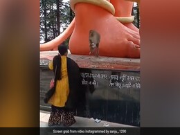 बंदर मामा को पहनना था चश्मा, मगर आंटी ने देने से मना कर दिया, दोनों के बीच हुई जमकर लड़ाई बंदर मामा को पहनना था चश्मा, मगर आंटी ने देने से मना कर दिया, दोनों के बीच हुई जमकर लड़ाई