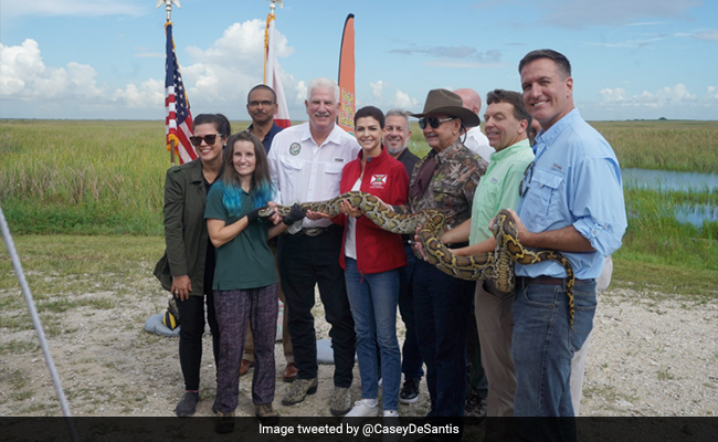 Florida Hosts Python Challenge, Excited Participants Post Daring Pics