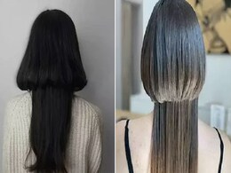 सिर पर बालों से 'जेलीफिश' बनवाने का ट्रेंड हो रहा VIRAL, देखकर हंसी के मारे पेट में हो सकता है दर्द सिर पर बालों से 'जेलीफिश' बनवाने का ट्रेंड हो रहा VIRAL, देखकर हंसी के मारे पेट में हो सकता है दर्द