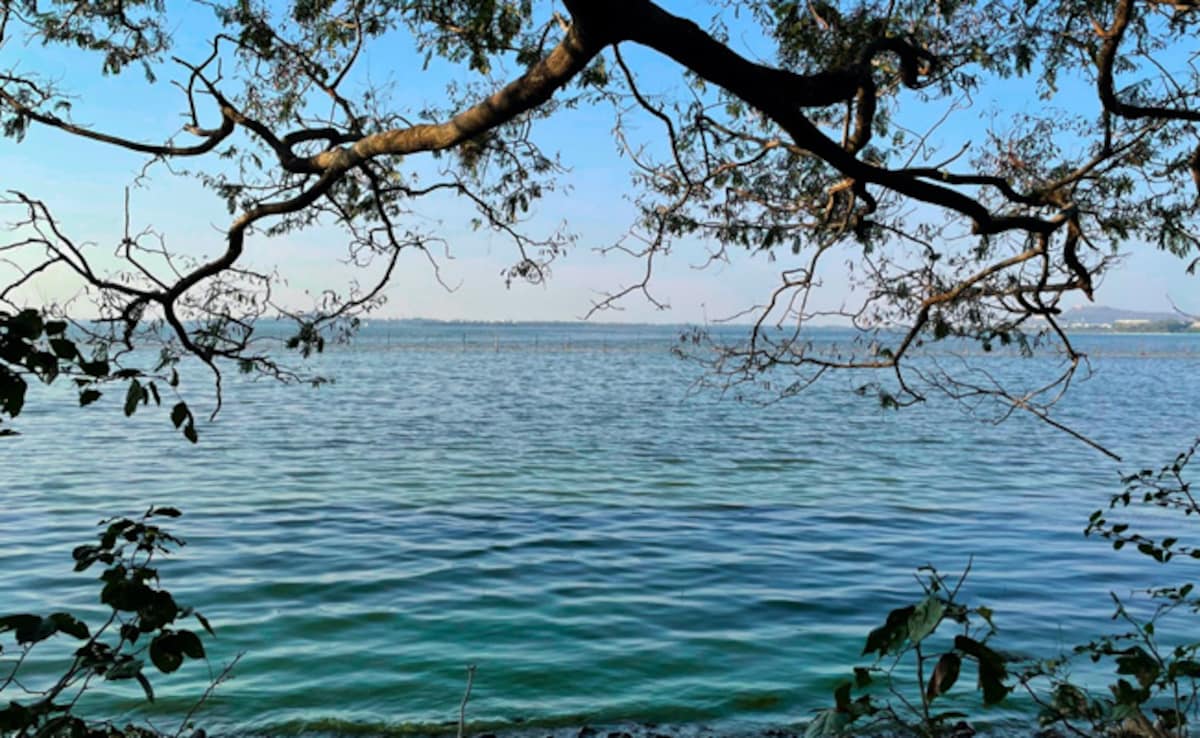 Three Mumbai minors accused of killing 14-year-old friend, dumping body in Vihar Lake to stage drowning