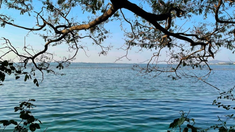 3 Mumbai Teens Kill 14-Year-Old Friend, Dump Body In Lake