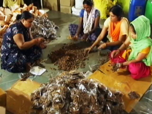 'Nirmalaya' Turns Sacred Temple Offerings Into Eco-Friendly Products