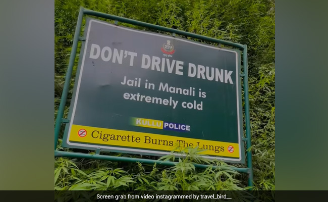 Kullu Police's Hilarious Road Safety Advisory Leaves Internet In Splits