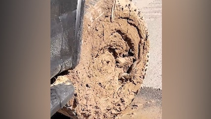 Snake Gets Stuck in Muddy Truck Tire