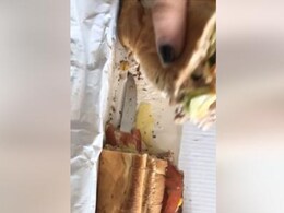 Shocking! Woman Finds Knife Inside Her Subway Meal - Watch Video