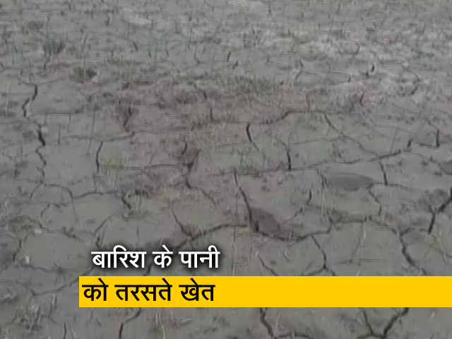 उत्तर प्रदेश : कम बारिश से किसान परेशान, खरीफ की बुवाई हो रही प्रभावित