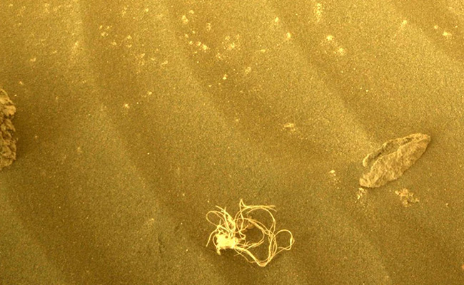 NASA Explains What "String-Like" Like Material Found On Mars Surface Is