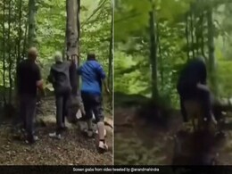 पेड़ काट रहा था शख्स, लेकिन पेड़ ने उसे ही पटक दिया, आनंद महिंद्रा ने Video देख जो कहा, आप भी रोक नहीं पाएंगे हंसी पेड़ काट रहा था शख्स, लेकिन पेड़ ने उसे ही पटक दिया, आनंद महिंद्रा ने Video देख जो कहा, आप भी रोक नहीं पाएंगे हंसी
