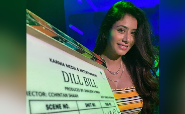 सलमान खान की हीरोइन वरीना हुसैन फिल्म 'दिल बिल' में आएंगी नजर, जानें फिल्म से जुड़े डिटेल्स