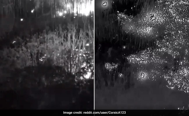 Watch: Drone Footage Of Russian Ammunition Catching Fire In Forest