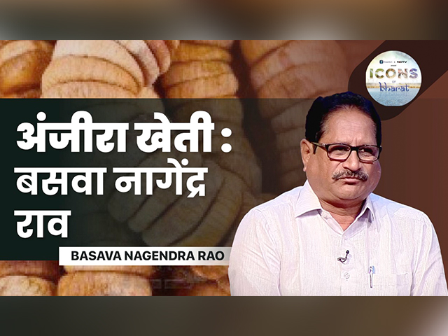 Icons of Bharat में बसव ने बांटा अंजीर की खेती का तजुर्बा Icons of Bharat में बसव ने बांटा अंजीर की खेती का तजुर्बा