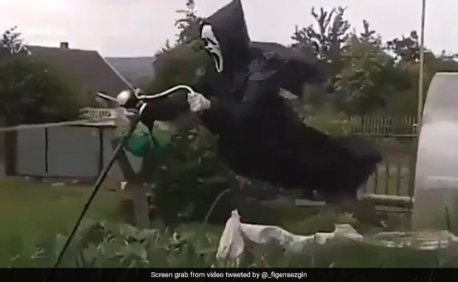 "It's Like A Ghost": Scarecrow Floating Mid-Air Has Internet's Attention