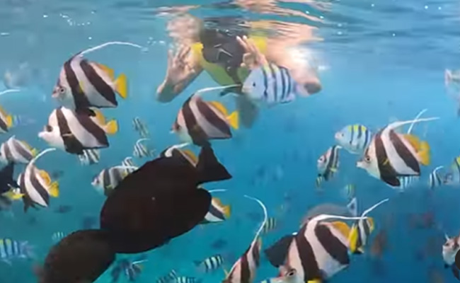 Sushmita Sen Offers A Glimpse Of Her Snorkeling Session With Daughters Renee And Alisah In The Maldives
