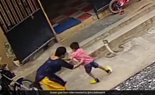 Video Shows Woman In Karnataka Saving Son From Snake, Internet Praises Her