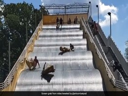 बच्चों को हवा में उछालकर फेंक रहा था अमेरिका का सबसे बड़ा स्लाइड, खुलते ही करवाना पड़ा बंद बच्चों को हवा में उछालकर फेंक रहा था अमेरिका का सबसे बड़ा स्लाइड, खुलते ही करवाना पड़ा बंद