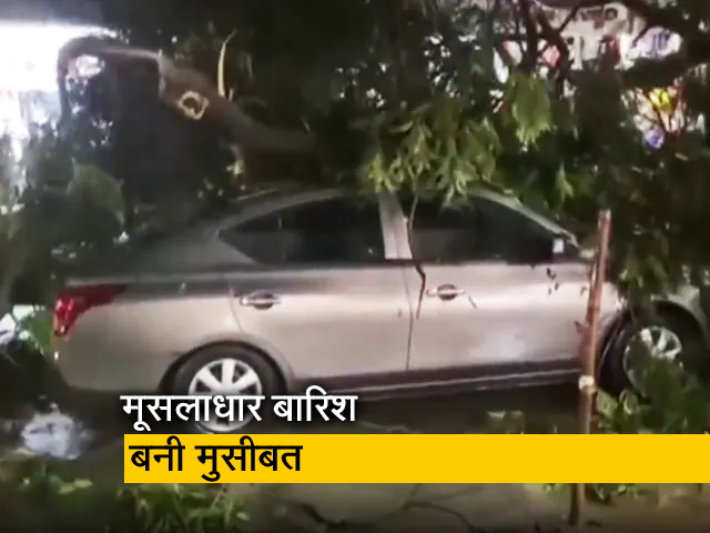 बेंगलुरू में मूसलाधार बारिश से उखड़े पेड़, कई इलाकों में जलभराव