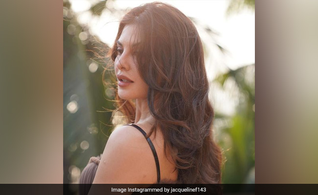 Jacqueline Fernandez "Victim Of Conspiracy", Was Conned: Lawyer