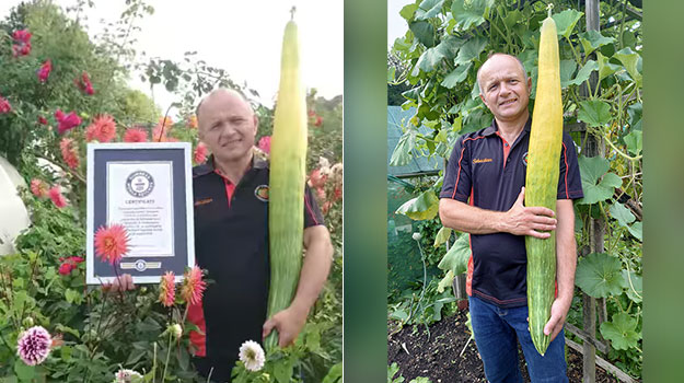 Watch: UK Man Breaks World Record By Growing The Longest Cucumber