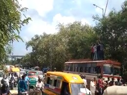 दिल्ली : चाइनीज मांझे ने छीनी पक्षियों की आजादी, 15 दिन के भीतर 277 पक्षियों को बचाया गया दिल्ली : चाइनीज मांझे ने छीनी पक्षियों की आजादी, 15 दिन के भीतर 277 पक्षियों को बचाया गया