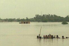 Amid Deadly Floods, Pakistan PM Appeals For Help Amid Deadly Floods, Pakistan PM Appeals For Help