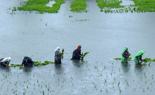 Heavy Rains Continue In Kerala, 3 Districts Under Red Alert
