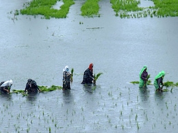 मानसून इस साल काफी अनियमित रहा, मनरेगा मज़दूरों की संख्या बढ़ी मानसून इस साल काफी अनियमित रहा, मनरेगा मज़दूरों की संख्या बढ़ी