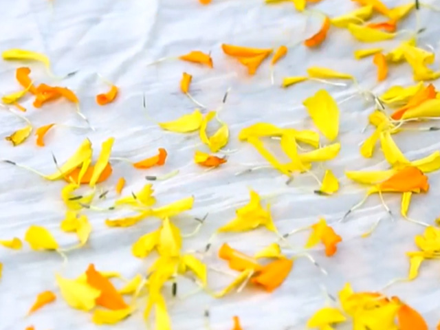 DIY: Add Colour To An Old Scarf With Flowers