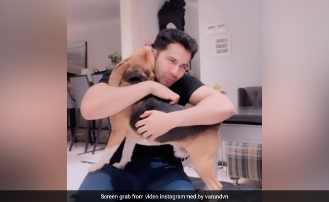 Varun Dhawan Diagnosed With Vestibular Hypofunction: 5 Points On The Condition