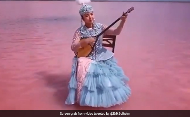 Watch: Woman Plays Music With Pink-Coloured Lake Water All Around, Internet Amazed