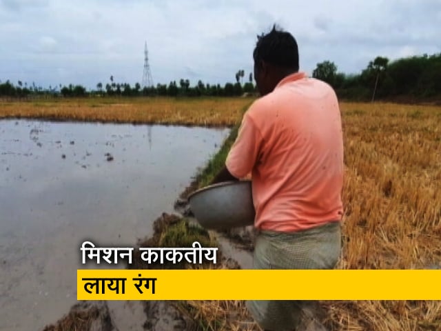 मिशन काकतीय ने सूखे से दिलाई निजात, बंजर भूमि पर फिर से लहराने लगी फसल