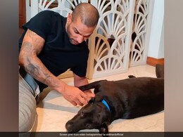 Watch: Shikhar Dhawan Shares Hilarious Video With His Dog On Instagram Watch: Shikhar Dhawan Shares Hilarious Video With His Dog On Instagram