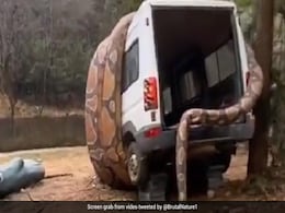 गाड़ी के चारों ओर लिपटा दिखा एनाकोंडा जैसा विशालकाय सांप, Video देख उड़ जाएंगे आपके होश गाड़ी के चारों ओर लिपटा दिखा एनाकोंडा जैसा विशालकाय सांप, Video देख उड़ जाएंगे आपके होश