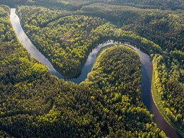 Protecting Amazon Rainforest Would Bring Brazil Billions Of Dollars: Study Protecting Amazon Rainforest Would Bring Brazil Billions Of Dollars: Study