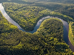 Here's The Path To Conserving Protected Areas In The Amazon