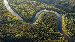 Here's The Path To Conserving Protected Areas In The Amazon