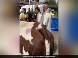Watch: Rishi Sunak, Wife Akshata Murthy Perform '<i>Gau Pooja</i>' In London Watch: Rishi Sunak, Wife Akshata Murthy Perform '<i>Gau Pooja</i>' In London
