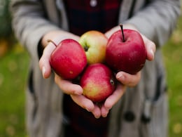 Apple Side Effects: अधिक लाभ पाने के चक्कर में कहीं आप भी तो नहीं करते सेब का ज्यादा सेवन, जानें ये हैरान करने वाले नुकसान Apple Side Effects: अधिक लाभ पाने के चक्कर में कहीं आप भी तो नहीं करते सेब का ज्यादा सेवन, जानें ये हैरान करने वाले नुकसान