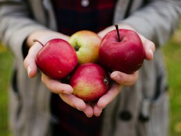 Apple Or Cake? Texas Baker's Food Creation Leaves Internet Amused