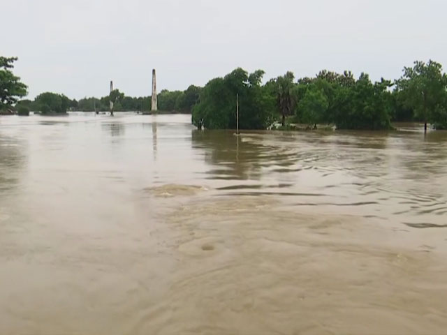 Houses, Roads Submerged In Flood-Hit Odisha District