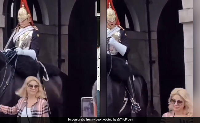 Watch: Queen's Guard Screams At Tourist Taking Photo, Her Family Says "Won't Return To London"