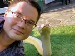 सांप के साथ Selfie ले रहा था शख्स, लोग बोले- 'जिंदा है या गया' सांप के साथ Selfie ले रहा था शख्स, लोग बोले- 'जिंदा है या गया'