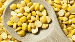High-Protein Lunch: 5 Delicious Chana Dal Recipes You Must Try For Lunch