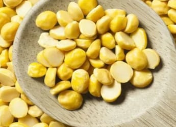 High-Protein Lunch: 5 Delicious Chana Dal Recipes You Must Try For Lunch High-Protein Lunch: 5 Delicious Chana Dal Recipes You Must Try For Lunch
