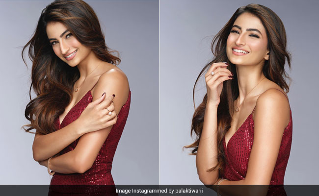 All That Glitters Is Palak Tiwari In A Sequined Mini Dress