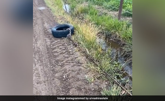 शख्स ने टायर से निकाला नाली में फंसा कचरा, ये जुगाड़ आपके भी बहुत काम आएगा