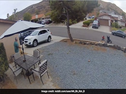 कुत्ते को बचाने के लिए शख्स ने खतरे में डाली बच्चे की जान, बीच सड़क पर छोड़ दिया स्ट्रालर और फिर... कुत्ते को बचाने के लिए शख्स ने खतरे में डाली बच्चे की जान, बीच सड़क पर छोड़ दिया स्ट्रालर और फिर...