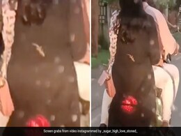 महिला की पीठ पर बैठकर पूरा शहर घूम रही थी छिपकली, पीछे से आ रहे कार सवार ने बना लिया VIDEO महिला की पीठ पर बैठकर पूरा शहर घूम रही थी छिपकली, पीछे से आ रहे कार सवार ने बना लिया VIDEO
