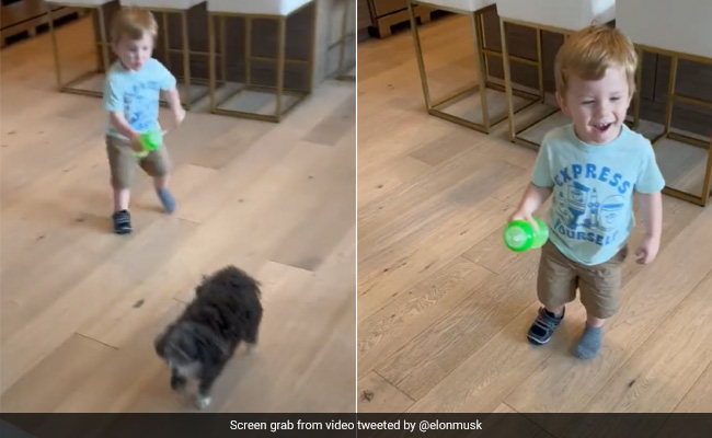 Elon Musk Shares Adorable Video Of His Son, Internet Calls It "Sweetest Thing Ever"