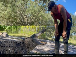 US Doctors Had To Untwist Man's Hand Muscles Six Times After Horrifying Alligator Attack US Doctors Had To Untwist Man's Hand Muscles Six Times After Horrifying Alligator Attack